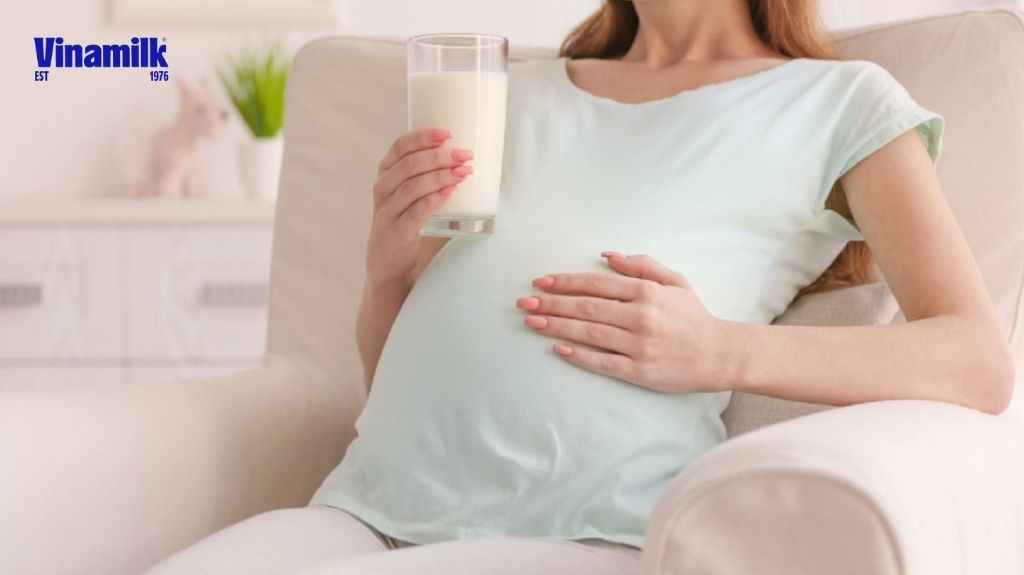 Sữa bầu giúp tăng cường miễn dịch