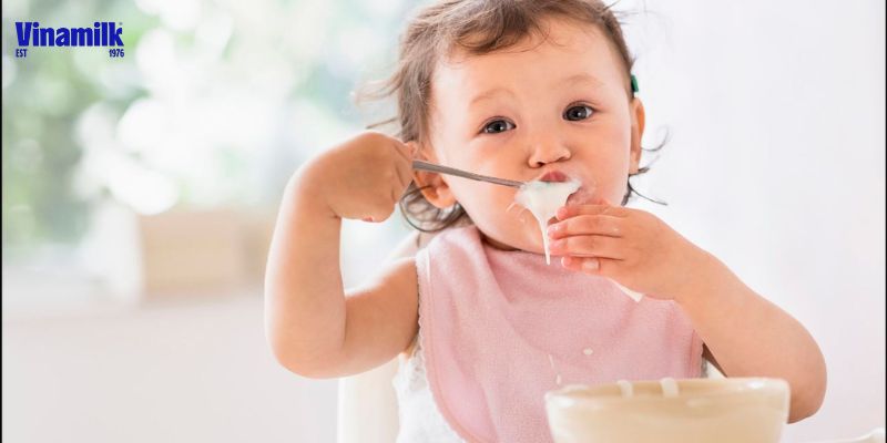 Sữa chua cung cấp DHA có tác dụng quan trọng trong việc phát triển trí não của trẻ