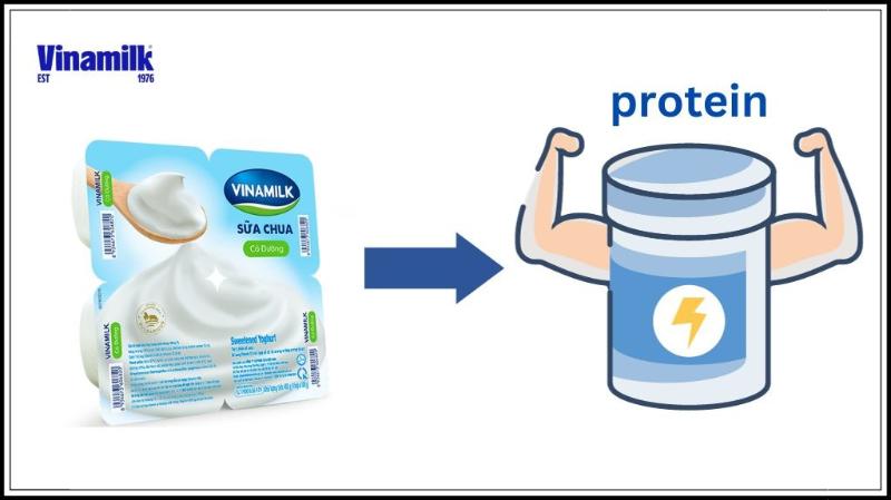 Sữa chua là nguồn cung cấp protein dồi dào