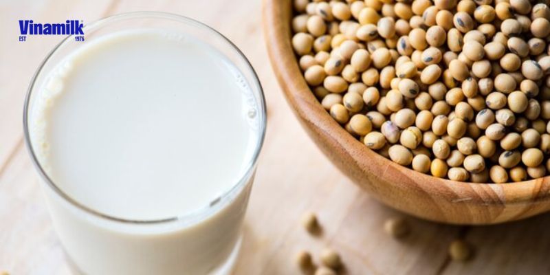Sữa đậu nành tươi bảo quản được 2-3 ngày