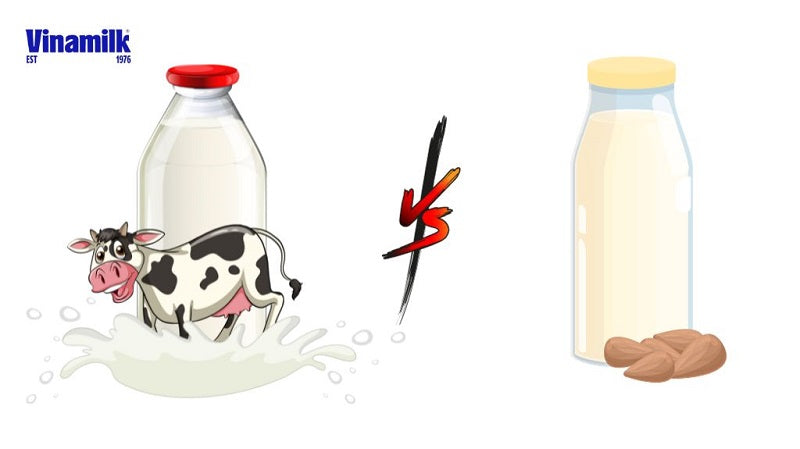 Sữa hạnh nhân và sữa bò