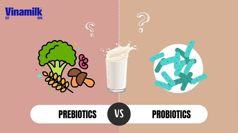 Sữa probiotics và prebiotics