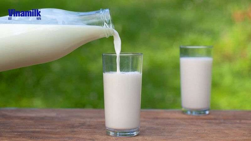 Sữa tươi chứa nhiều dưỡng chất