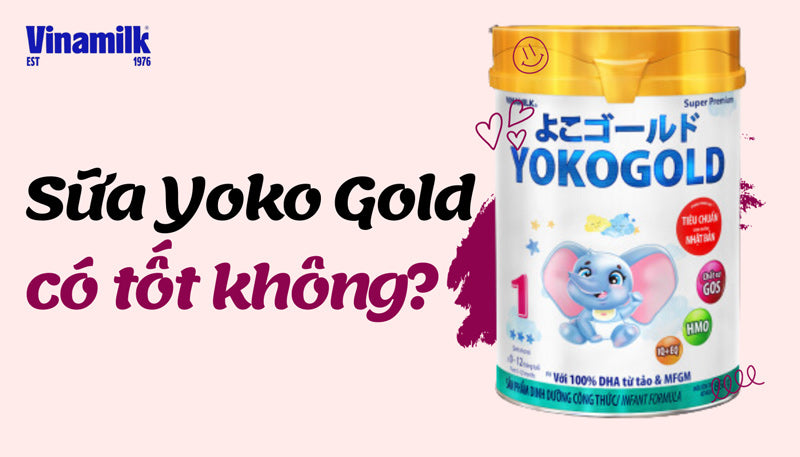 Sữa Yoko Gold có tốt không? Thành phần, công dụng là gì?