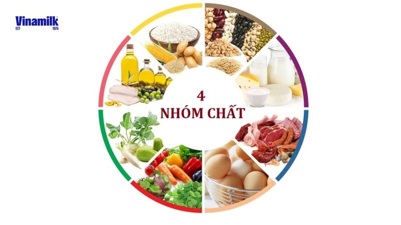 Nhóm dưỡng chất chính trong thực đơn ăn dặm