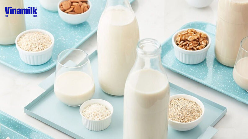 Uống sữa hạt như thế nào để mang lại hiệu quả tốt nhất?