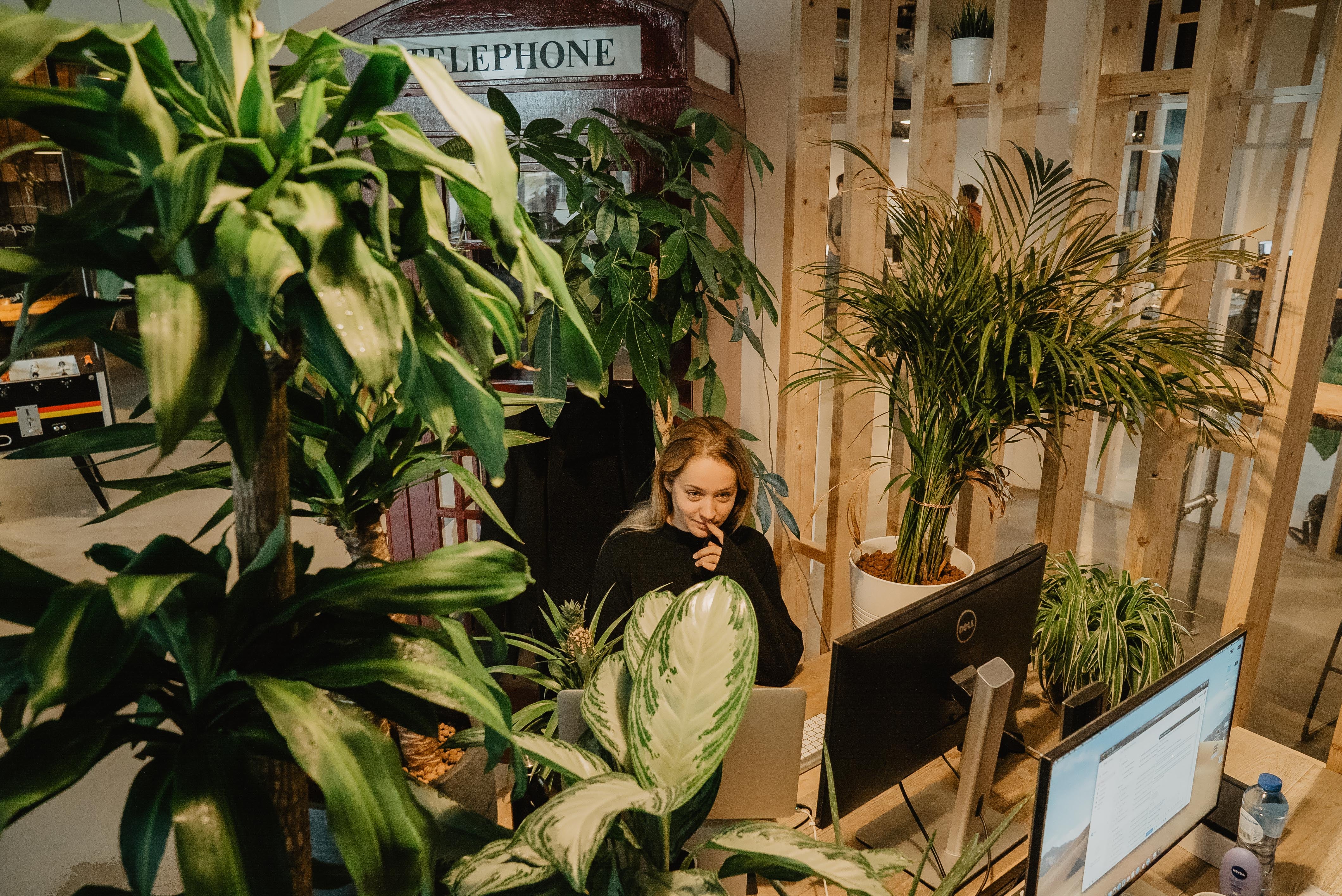 Waarom planten kantoor nemen? – Plantsome