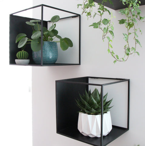 Inspiration: Plants your hallway! –