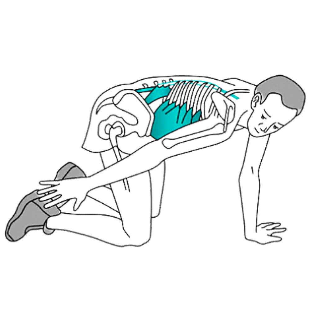 quadratus lumborum exercises