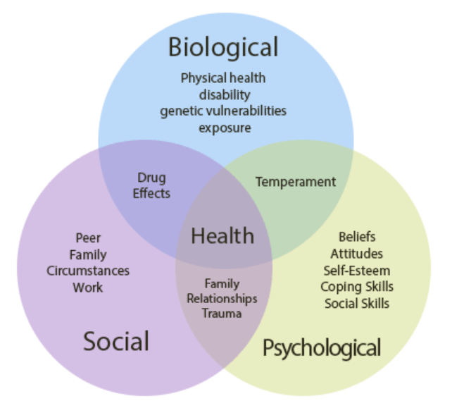 biopsychosocial model assignment