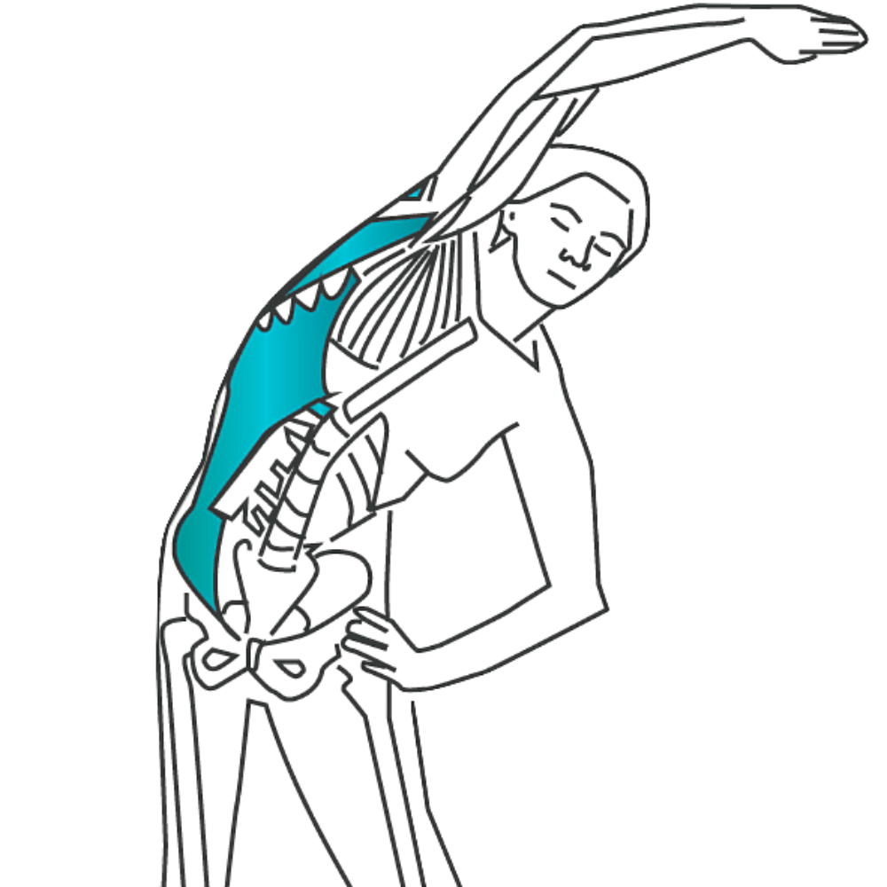 Standing stretch for quadratus lumborum pain