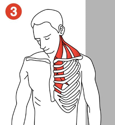 Stretching Trigger Points