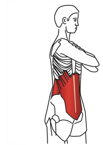 Stretching for Trigger Points