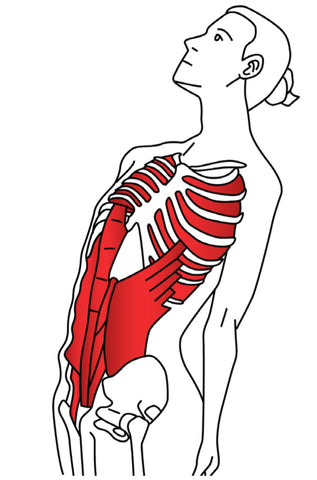 Stretching for Trigger Points