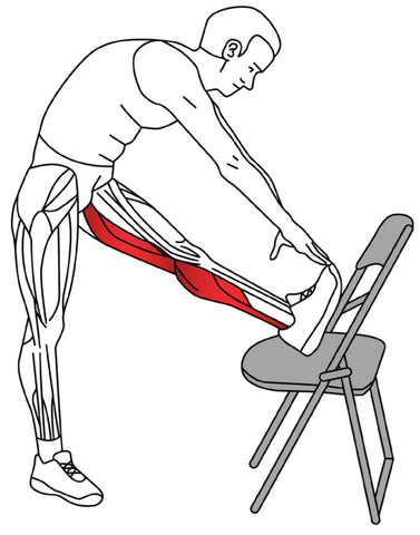 Gluteus maximus Trigger Points