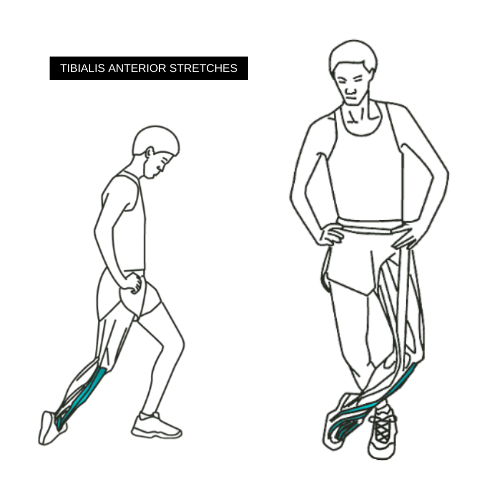 Tibialis anterior stretches