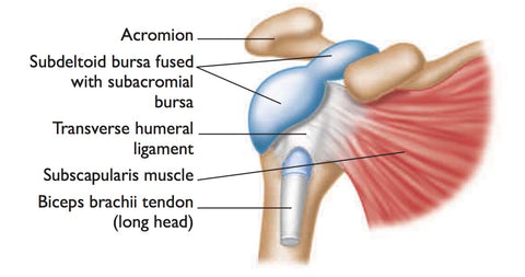 Puntos desencadenantes de la bursitis del hombro