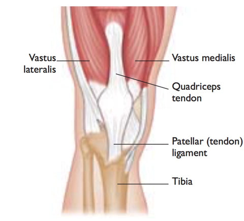 Quadriceps Trigger Points