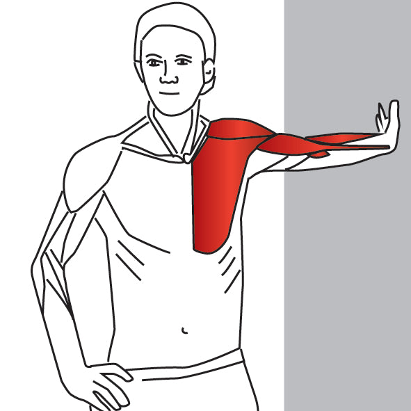 Trigger Point Therapy - Treating Pectoralis Major, Pectoralis Muscles,  Shoulder and more