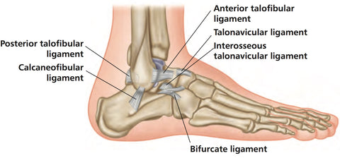 Trigger Point Therapy - Treating Ankle Sprains