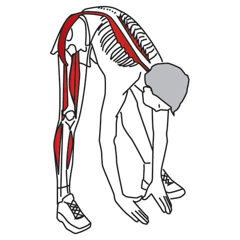 How to Do Standing Hamstring Stretch