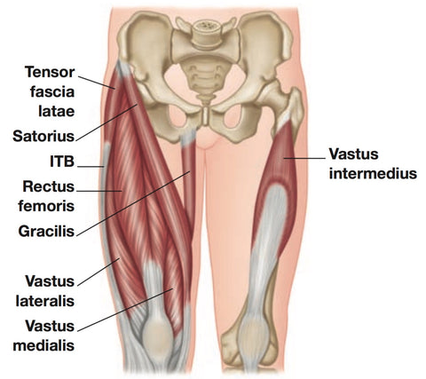 Puntos gatillo del cuádriceps