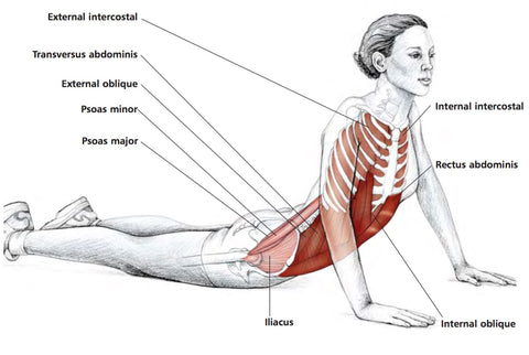 Abdominal Stretches – Stuart Hinds Performance Therapy