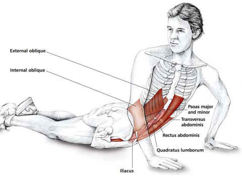 Abdominal Stretches – Stuart Hinds Performance Therapy