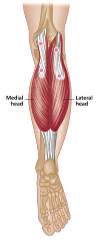 Trigger Point Therapy - Gastrocnemius