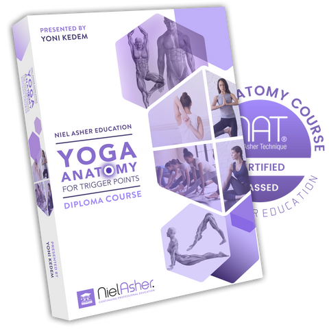 Curso en línea de anatomía de yoga para puntos gatillo