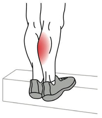 Illustration of the Gastrocnemius (calf muscle) stretch