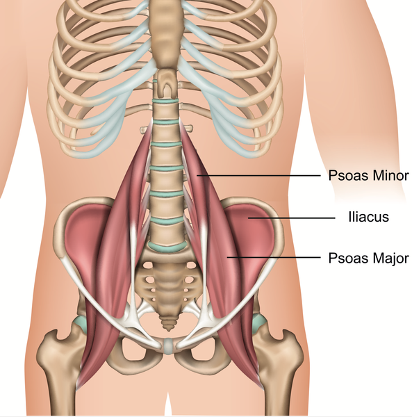 Iliopsoas Stretching Exercise - Orthopaedic Spine Surgery Singapore