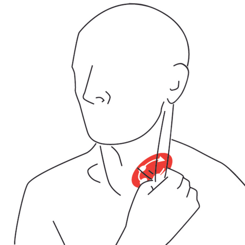 Sternocleidomastoid  The Trigger Point & Referred Pain Guide