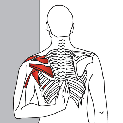 supraspinatus stretch