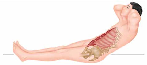 Puntos gatillo de los músculos abdominales