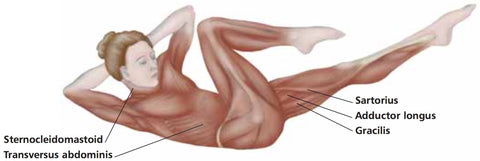 Terapia de puntos gatillo del músculo transverso del abdomen