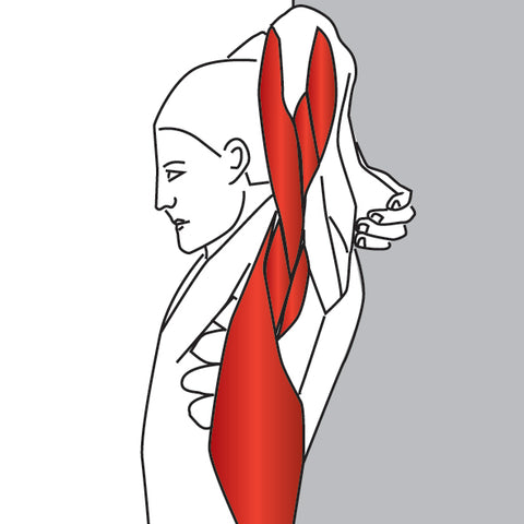 Triceps Trigger Point Stretch