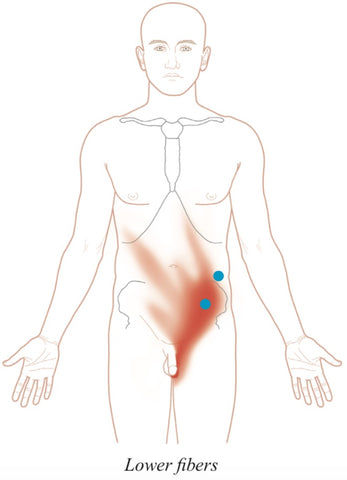 Obliques Trigger Points