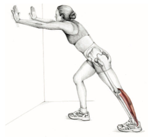 Six Types of Stretches and When You Should Use Them – Stuart Hinds ...