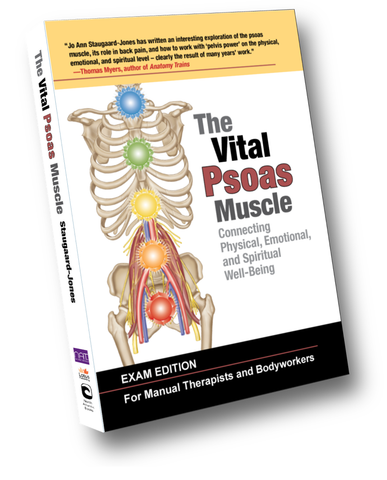 Der Vital Psoas CE CPD-Kurs