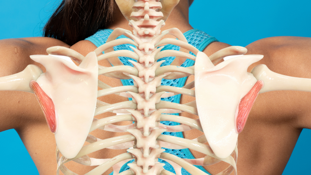 Teres Minor Muscle Trigger Point Therapy 