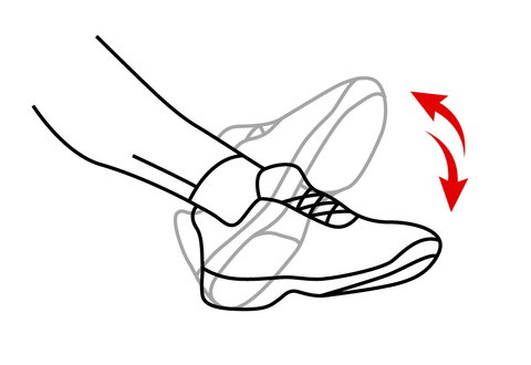 Active Plantar Flexion and Dorsiflexion