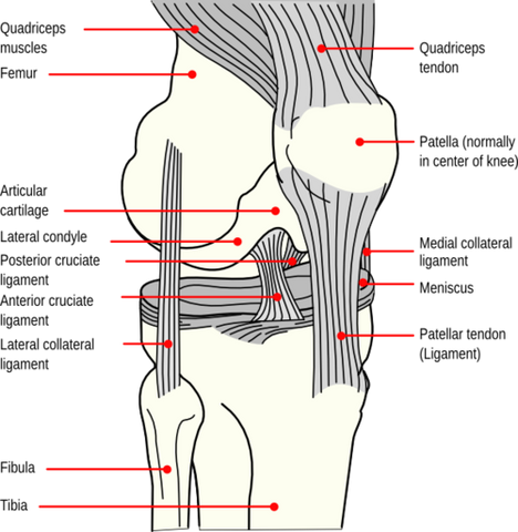 Patella-Triggerpunkte behandeln