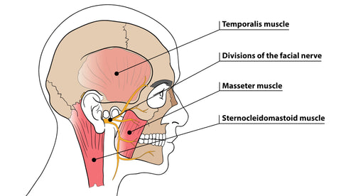 TMJD Trigger Point Treatment