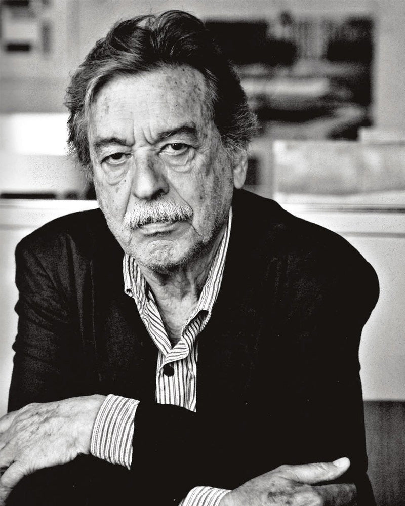 ニューヨーク近代美術館（MoMA）のパーマネントコレクションに選ばれた、Paulo Mendes da Rocha（パウロ・メンデス・ダ・ローシャ）による Paulistano（パウリスターノ）アームチェアより、ステンレス製のメッシュモデル。