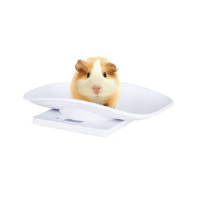 10KGs Pet Scale - TTPS-3 - Petmedtools