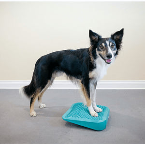 Dog Balance Ramp - Petmedtools