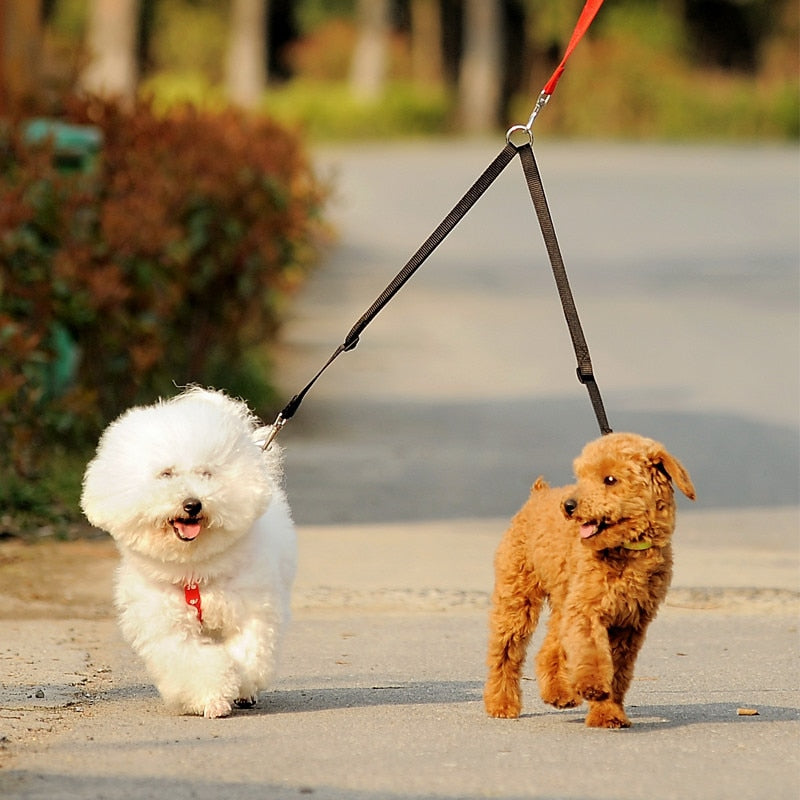 Double Twin Walking Lead For Pets