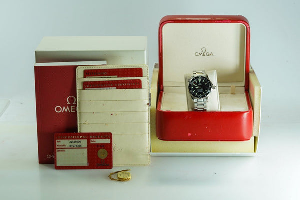 Omega Seamaster Diver 300 M 2252.50 Steel