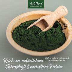 Espirulina